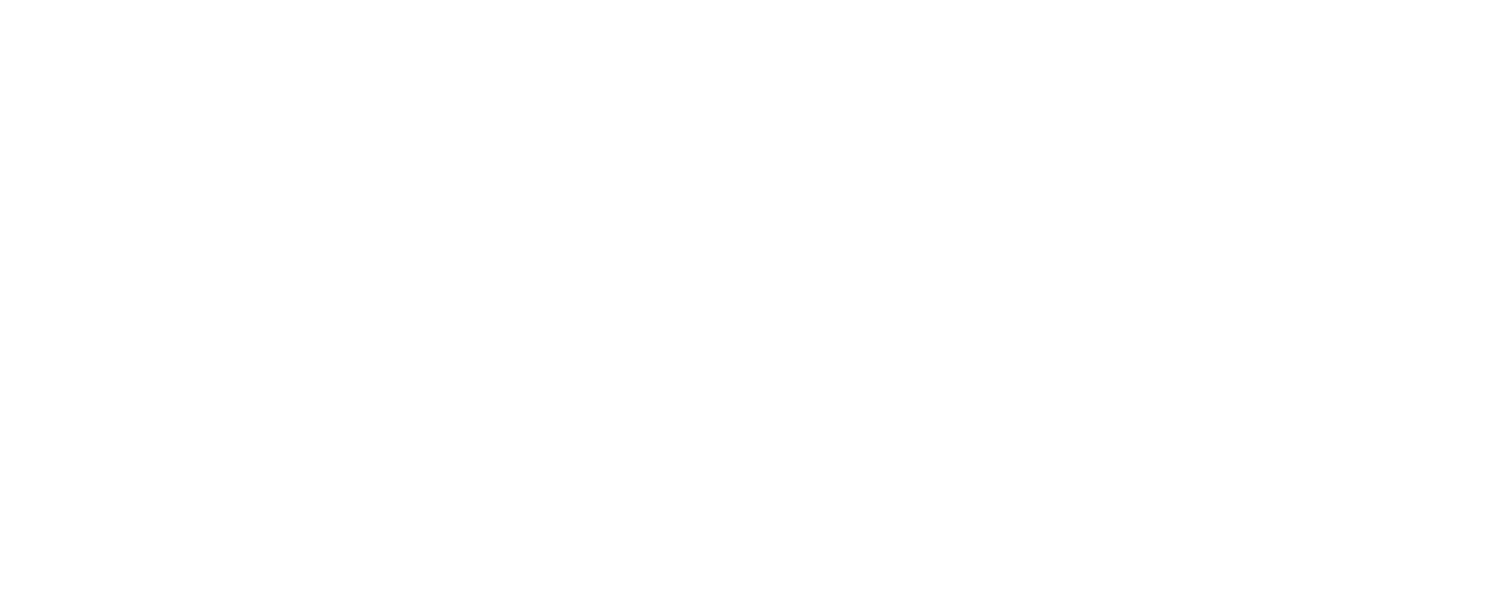 Axxion Repairs